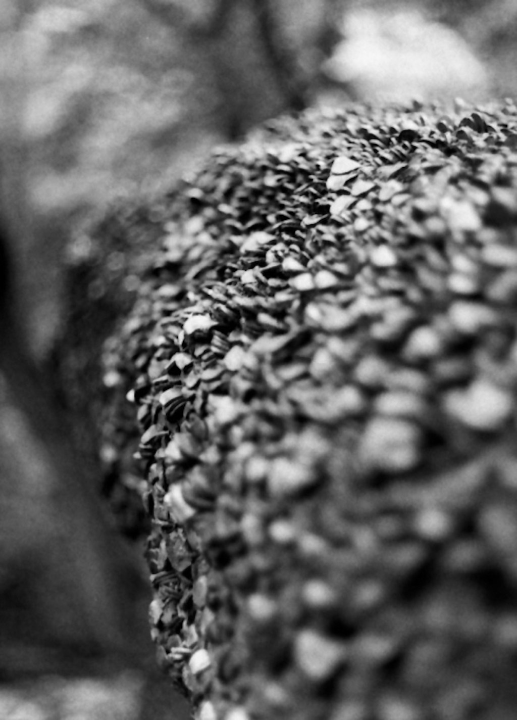 Meet the Photographer – Peggy&nbsp;Marsh