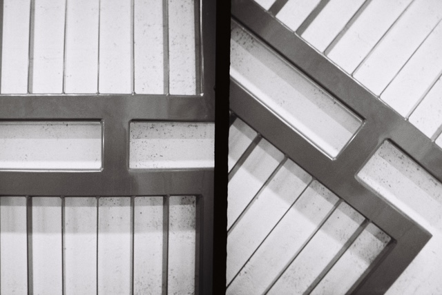 Meet the Photographer – Sandra&nbsp;Ronca