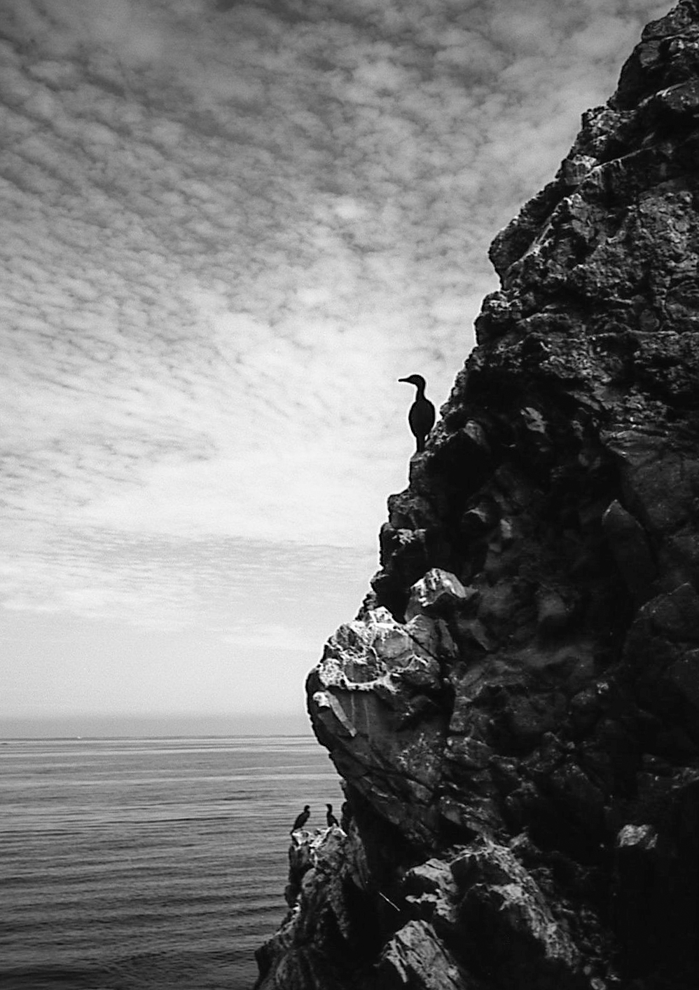 Meet the Photographer – Vince&nbsp;Shumaker