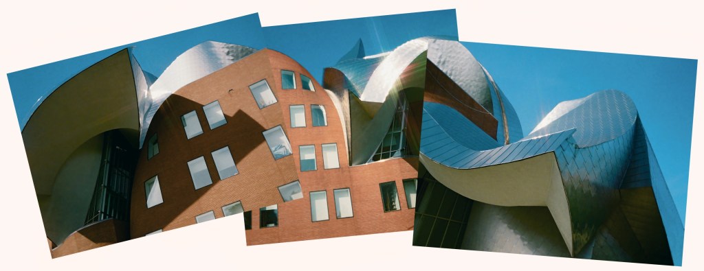 Meet the Photographer – Jack&nbsp;Walsh